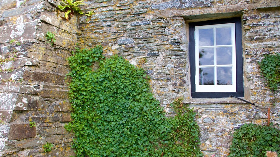 Tintagel Old Post Office showing heritage elements