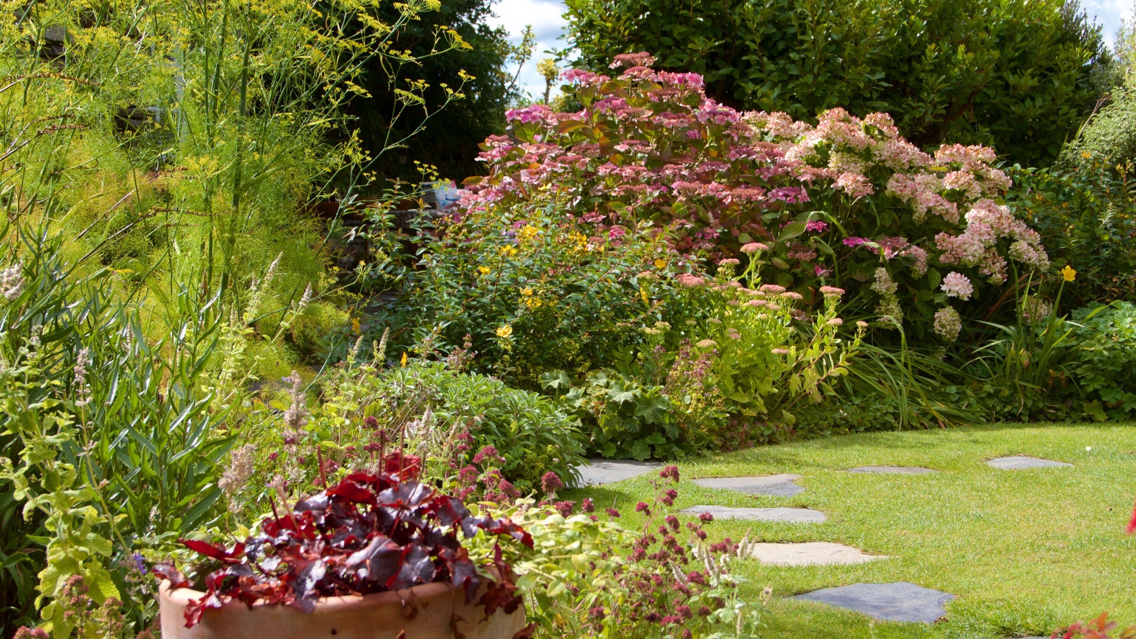 Cornwall featuring a park and wildflowers
