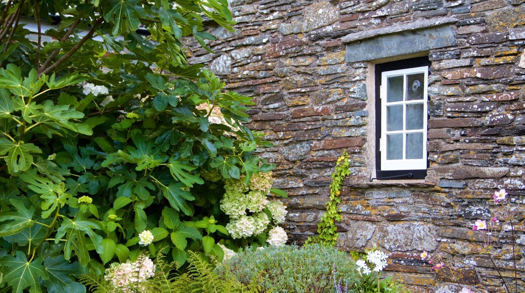 Cornwall featuring heritage elements