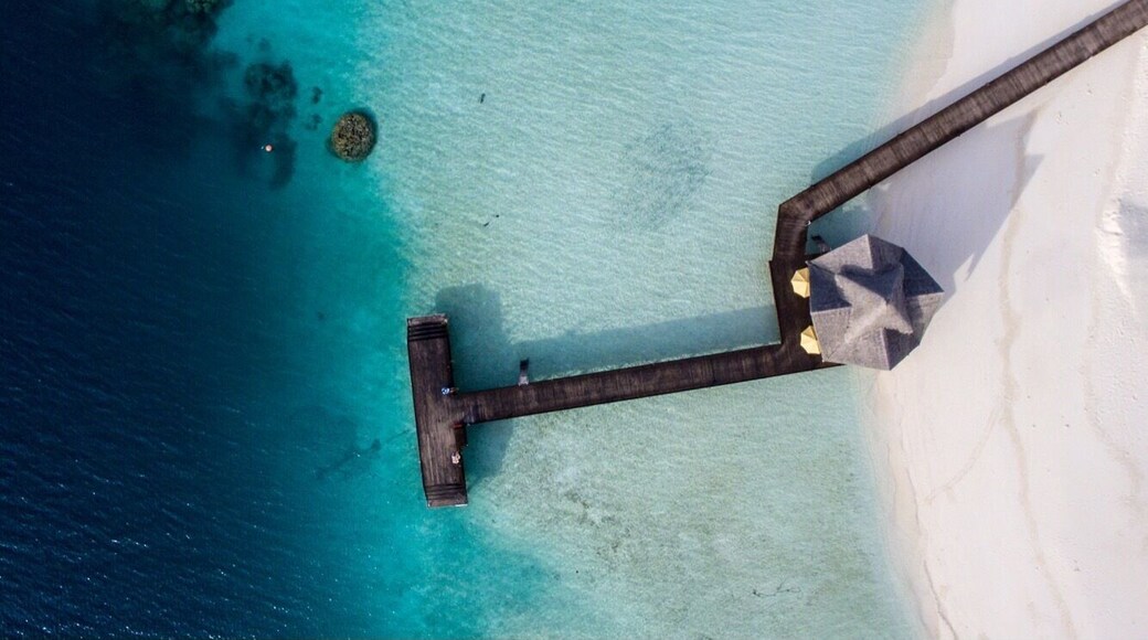 Dhigufaru Island in the Maldives - you really can't have a bad experience there, photography or otherwise.. love the transition from deep blue ocean to white sand in this drone shot!