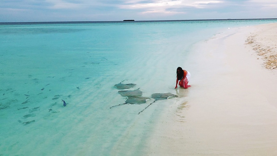 #sand #bluesea  #ocean  #palm  #seascape  #sun  #beachlover  #palms  #sandandsea  #seashore  #sandbeach  #beach  #beachsand  #sands  #whitesand  #seaandsand  #sea  #water  #sealovers  #seaside🌊  #paradisebeach  #seaview  #beautifulisland  #bluewater  #clearsea  #seaside  #seasun  #oceanlove 
#beachtips 
#stingray