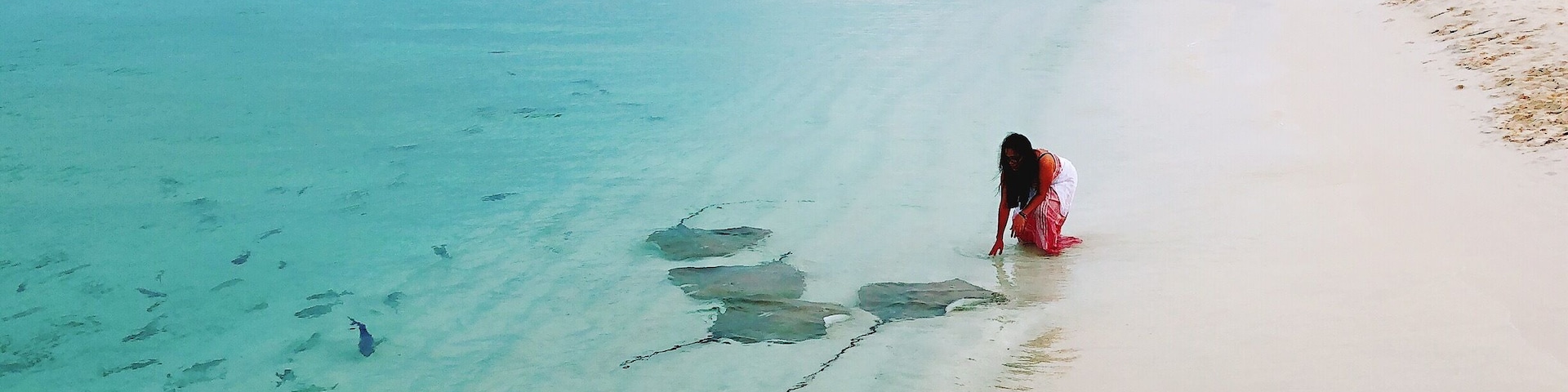 #sand #bluesea  #ocean  #palm  #seascape  #sun  #beachlover  #palms  #sandandsea  #seashore  #sandbeach  #beach  #beachsand  #sands  #whitesand  #seaandsand  #sea  #water  #sealovers  #seaside🌊  #paradisebeach  #seaview  #beautifulisland  #bluewater  #clearsea  #seaside  #seasun  #oceanlove 
#beachtips 
#stingray