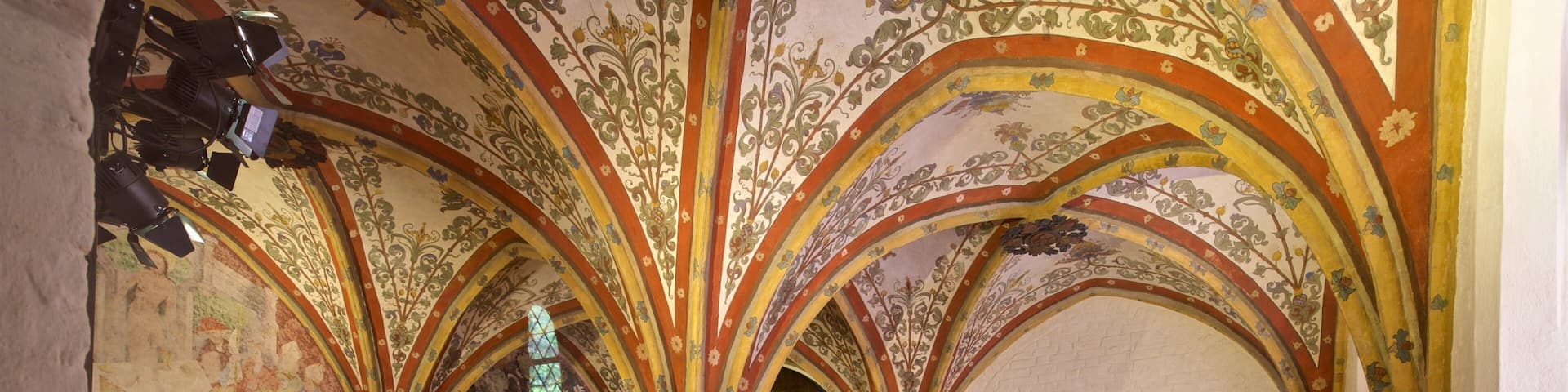 European Hansemuseum which includes interior views and heritage elements