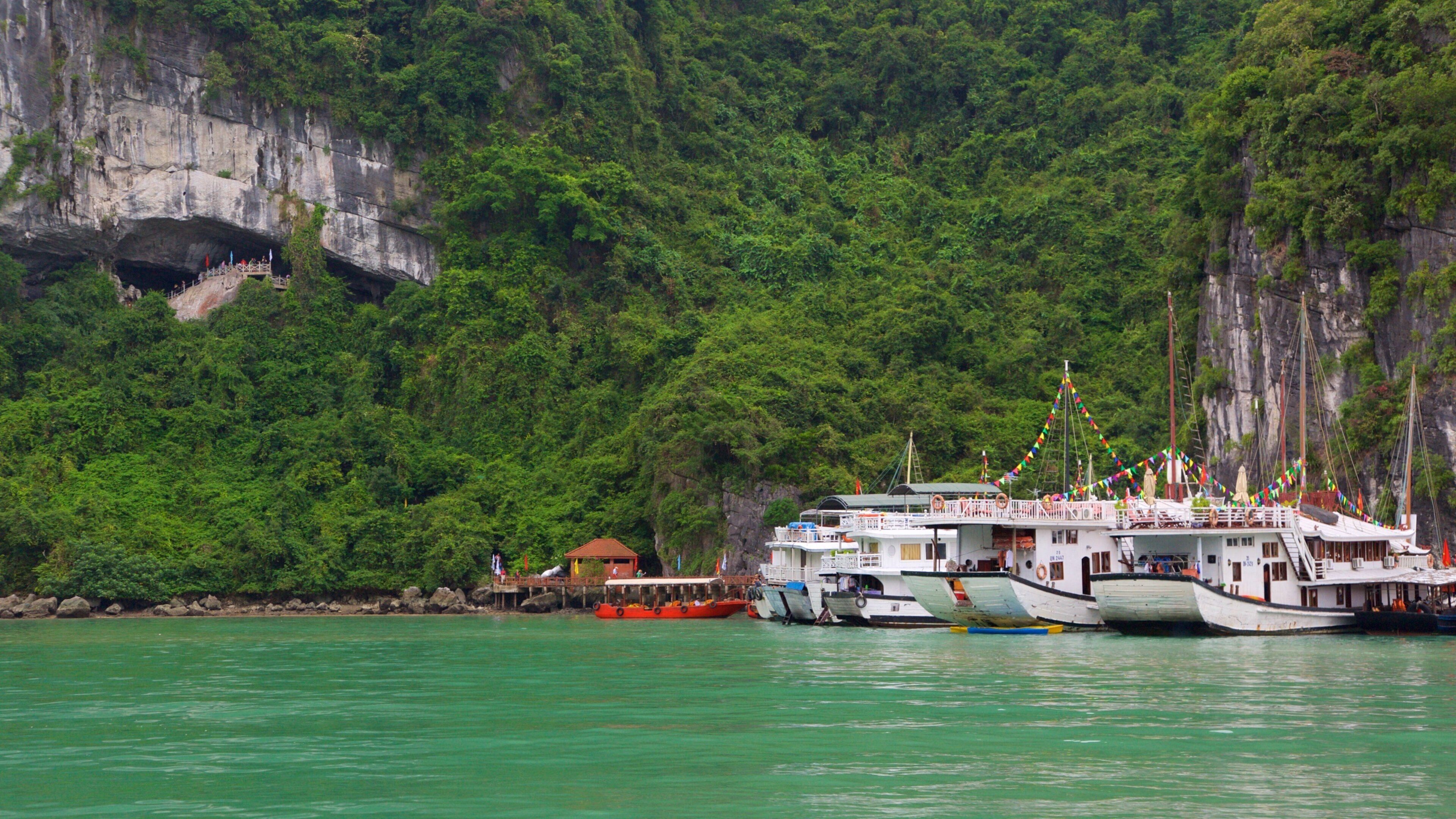 Halong Bay showing boating and tropical scenes