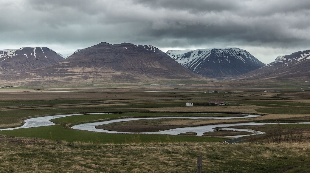 This river snakes along side the road for miles. I really liked how it backtracked all the way around instead of going the extra 10 feet to connect with the other side.