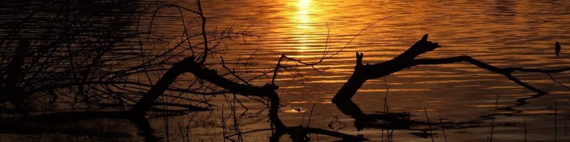 Tenaya sailing in Sydney Harbour