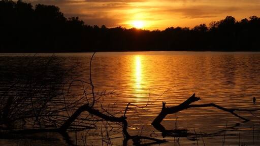 Tenaya sailing in Sydney Harbour