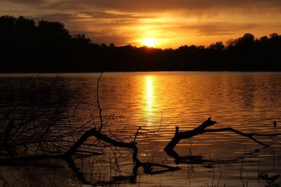 A sunset over a calm lake with silhouetted trees and a fallen tree branch in the foreground.