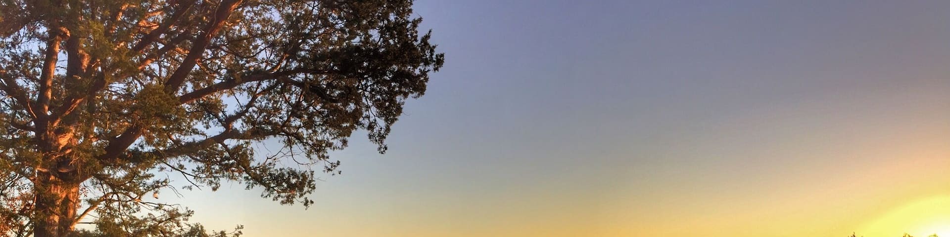 Eagle Point overlooking Trooper Island on Dale Hollow Lake