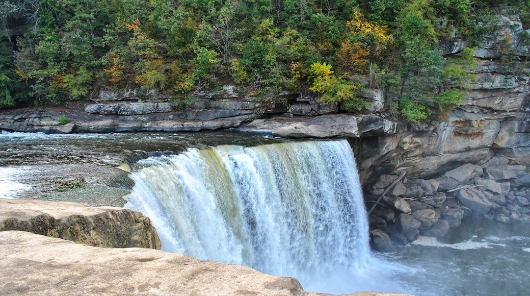 I absolutely love this place! So amazing
#adventuresinourland