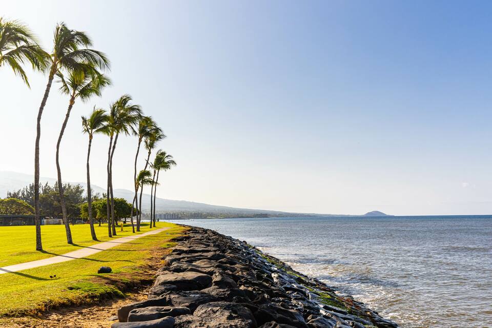 A coastal walkway lined with palm trees, a rocky shoreline, and a clear view of the ocean.