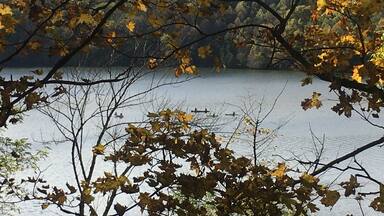 Lots of hiking, horse trails, beach, camping, picnic areas, playgrounds, and fish cleaning stations. There is a charge to get in.