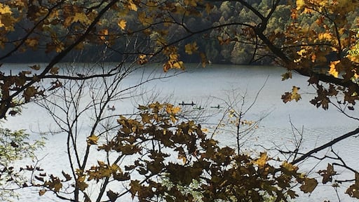 Lots of hiking, horse trails, beach, camping, picnic areas, playgrounds, and fish cleaning stations. There is a charge to get in.