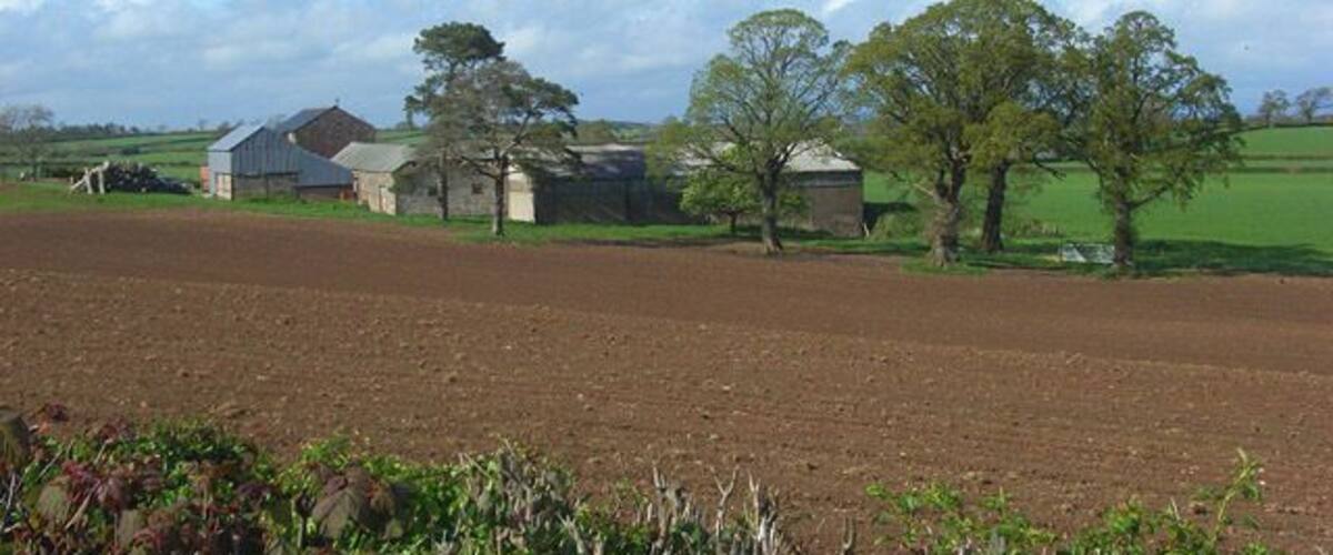 A rural landscape with a barn, a silo, and a plowed field.