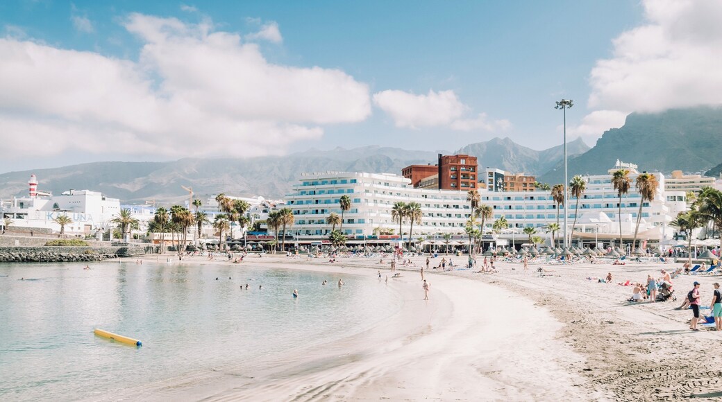 CostaAdeje_LaPintaBeach_553248622811248714 - 6