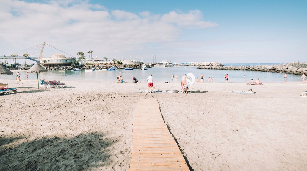 CostaAdeje_LaPintaBeach_553248622811248714 - 4