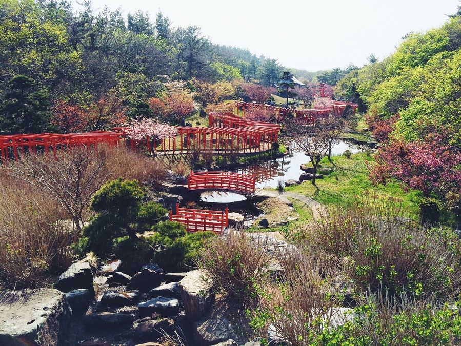 Beautiful shrine in Northern Japan. We counted over 200 torii gates here.