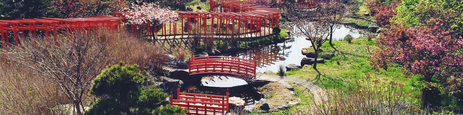 Beautiful shrine in Northern Japan. We counted over 200 torii gates here.