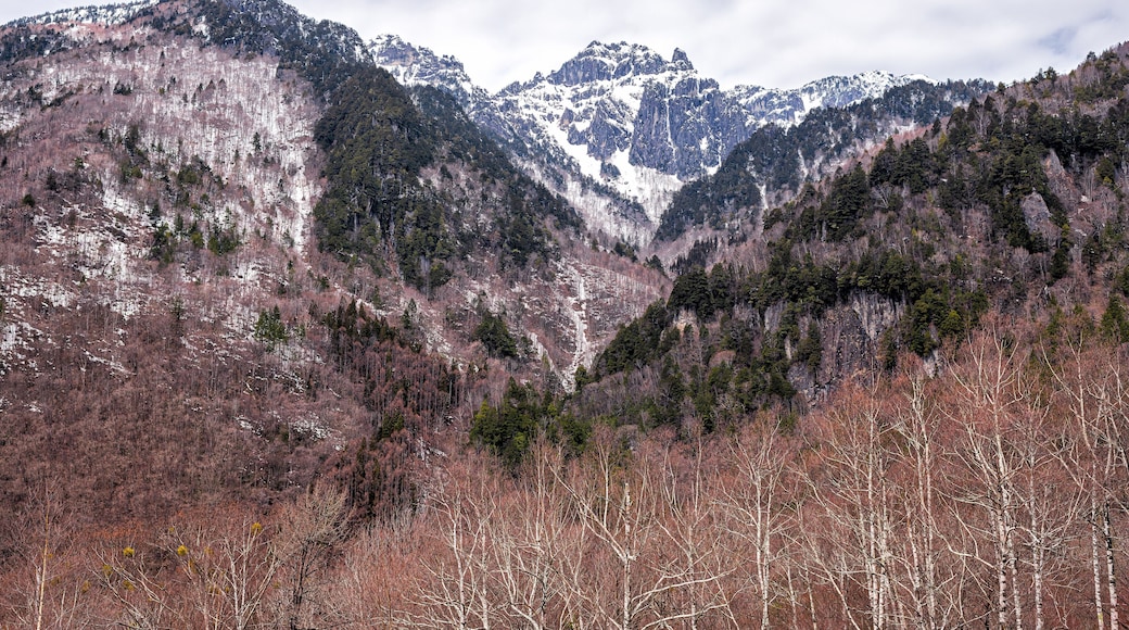 Mountain peak with snow in Okuhida Shinhotaka Ropeway in Gifu Prefecture, Japan park with cloudy sky on spring day