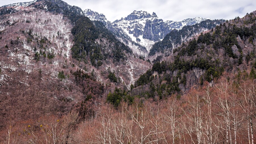 Okuhida by med varme kilder