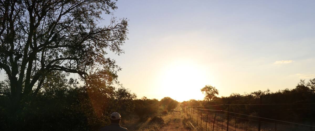 Great Safari experience with the Shumbalala Lodge.