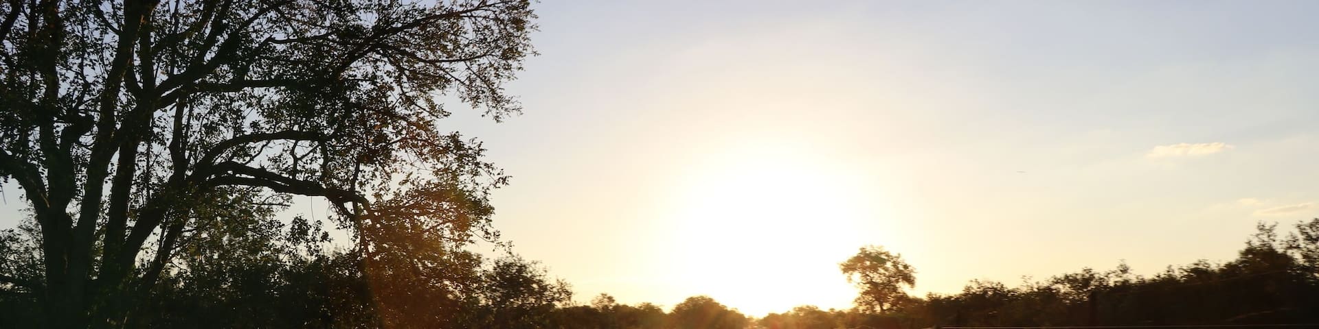 Great Safari experience with the Shumbalala Lodge.