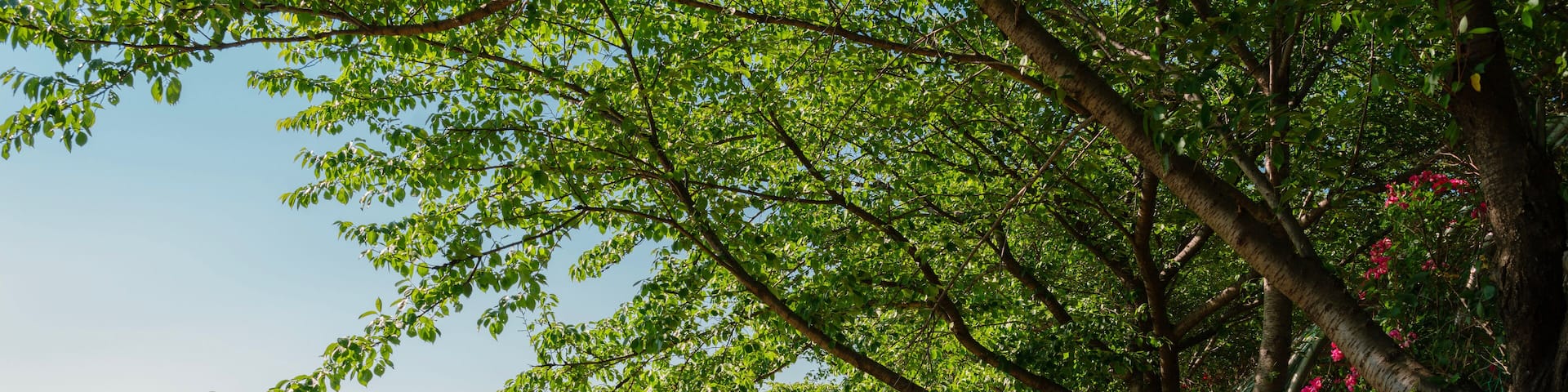 Anyangcheon stream park and city view in Seoul, Korea