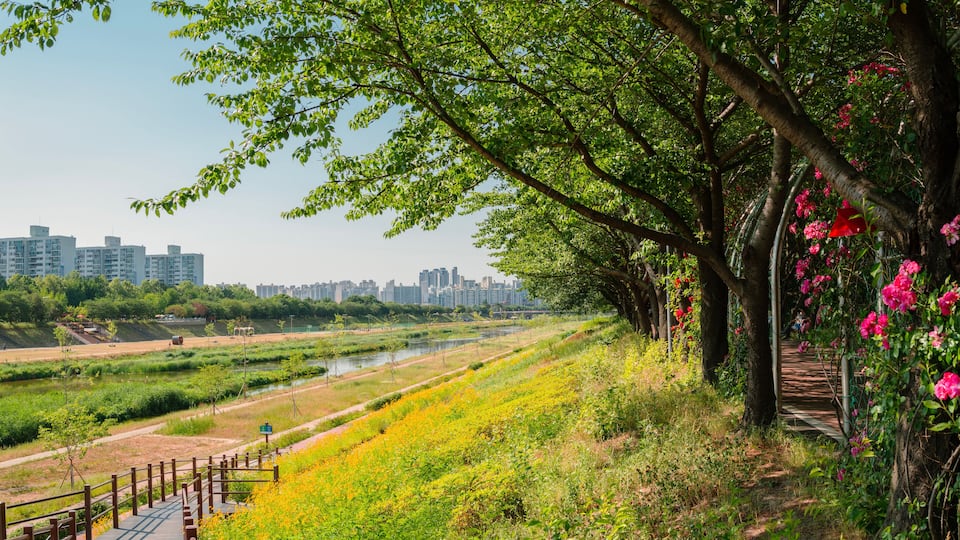 Anyangcheon stream park and city view in Seoul, Korea