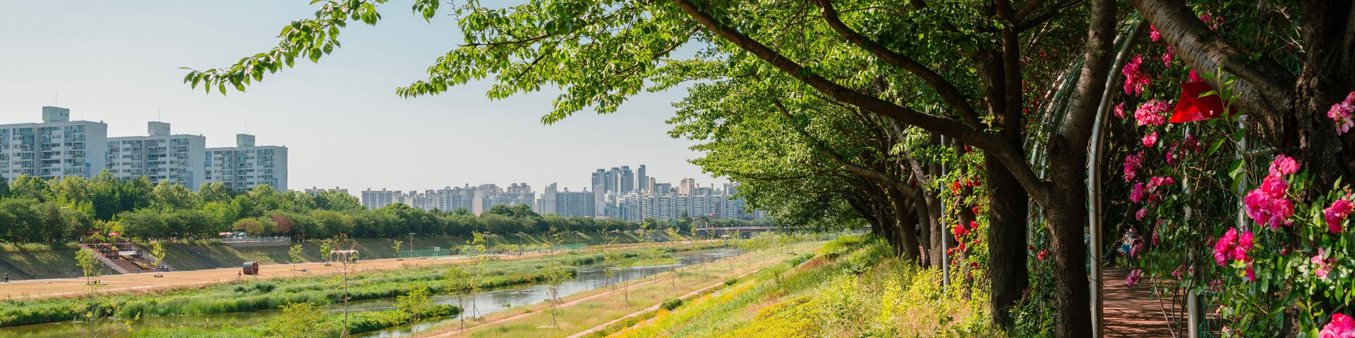 Anyangcheon stream park and city view in Seoul, Korea