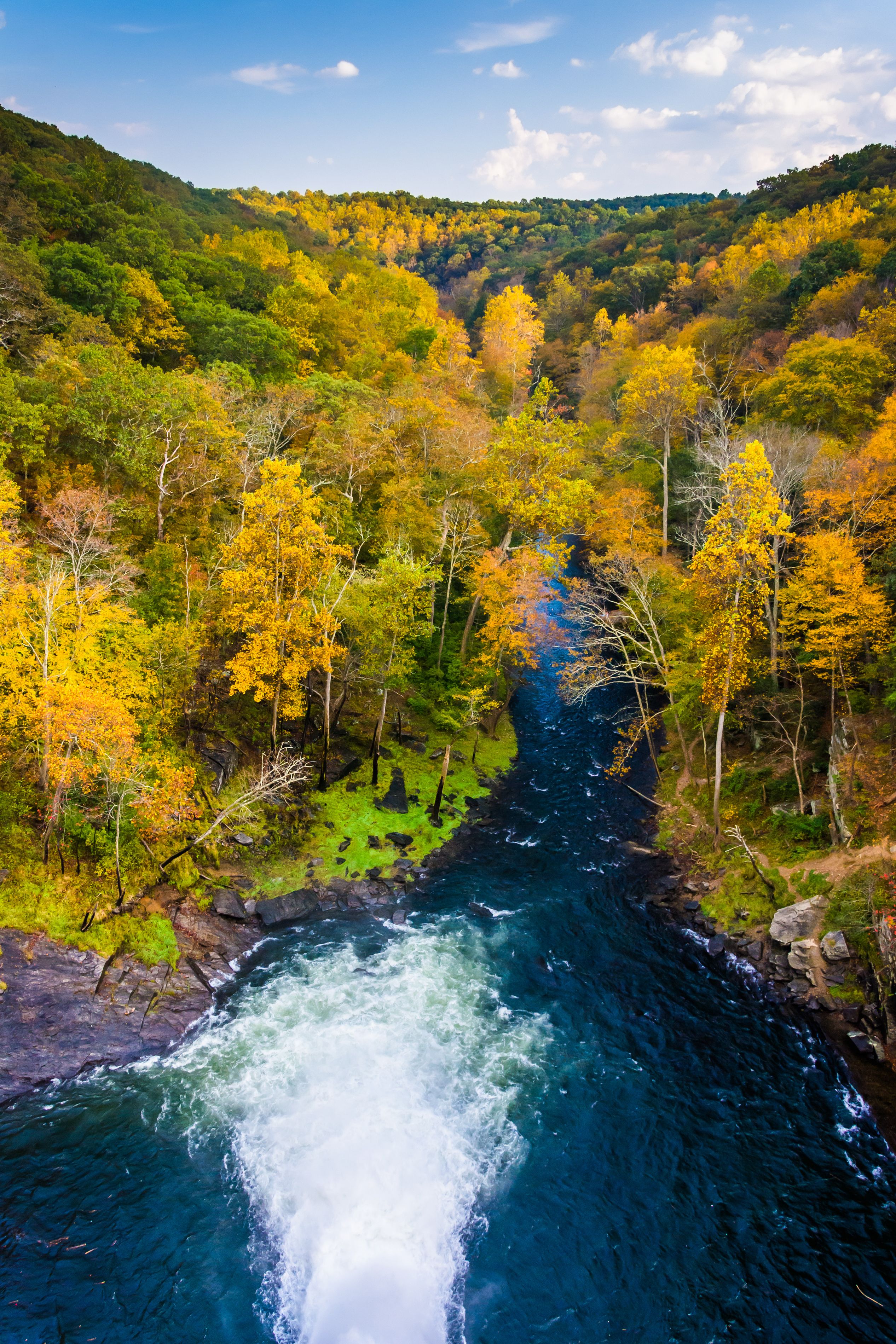A river flowing through a forest with autumn-colored trees.