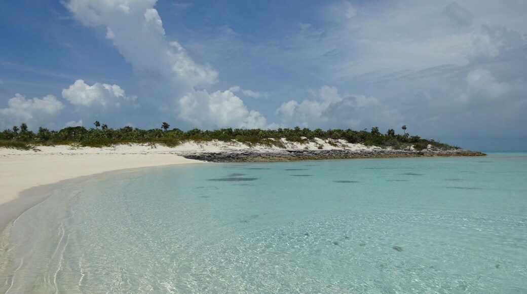 Staniel Cay
#beachbound #lifeatexpedia