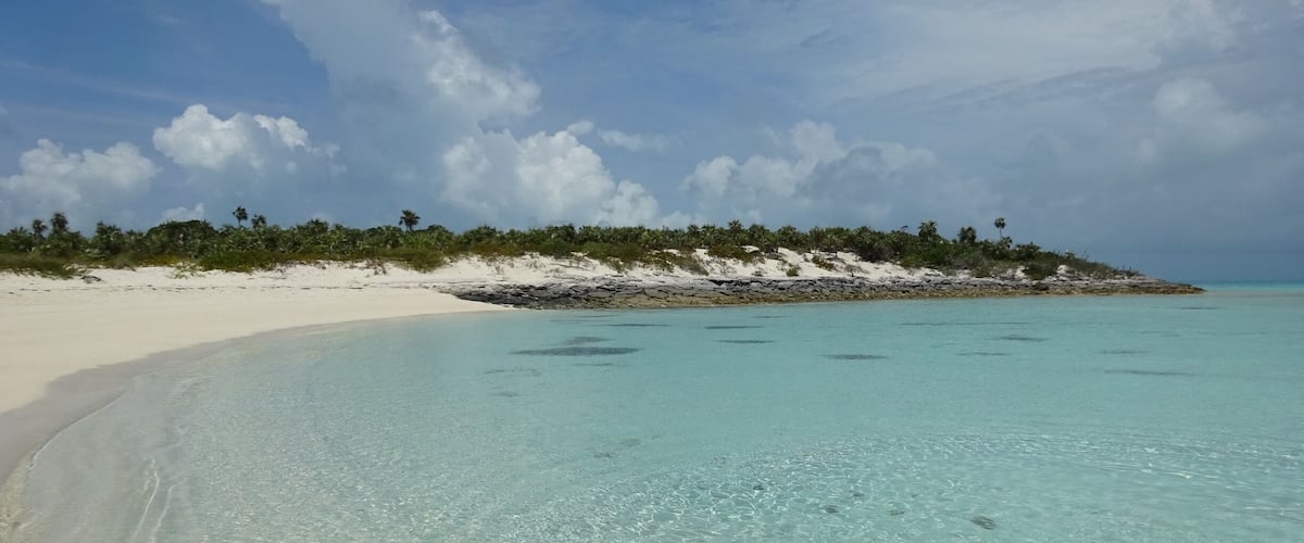 A beach with clear turquoise water, white sand, and a small island with palm trees.
