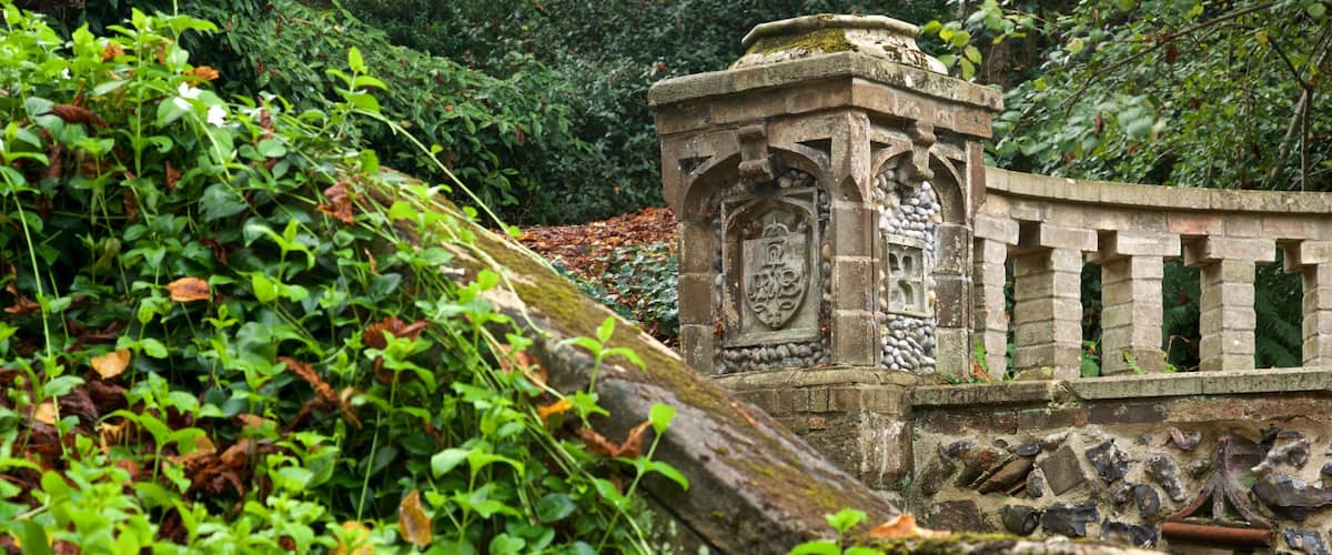 The Plantation Garden showing a garden