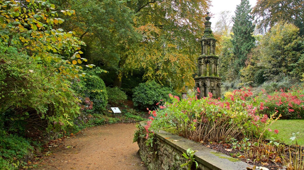 The Plantation Garden which includes a park and wild flowers