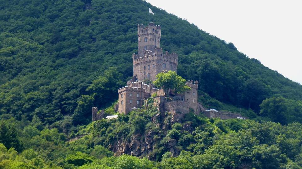 A medieval castle on a hill surrounded by dense forest.
