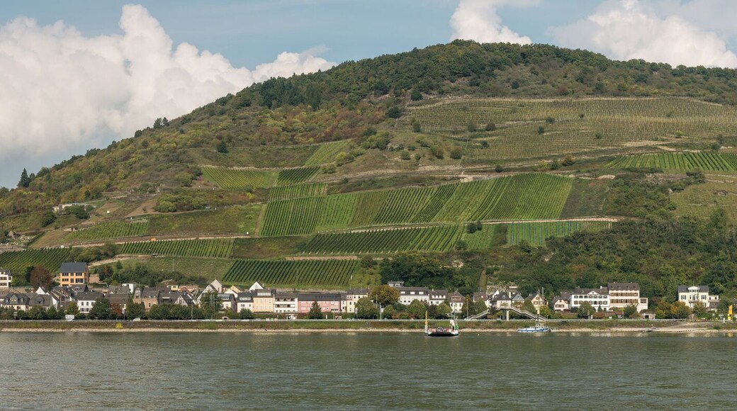 Lorch and its environment as seen from Niederheimbach. Also note the ferry below the right hill that allows the crossing of the Rhine