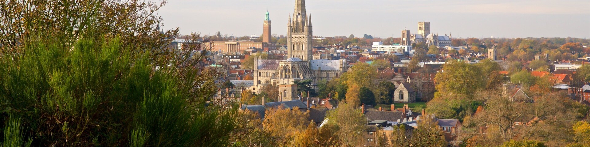 Mousehold Heath which includes a small town or village and landscape views