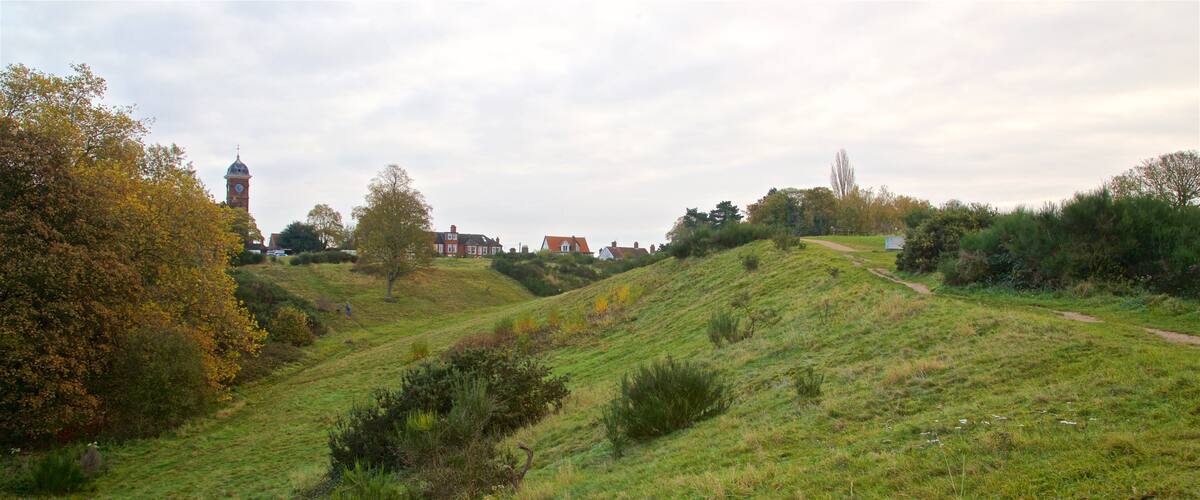 Mousehold Heath featuring tranquil scenes