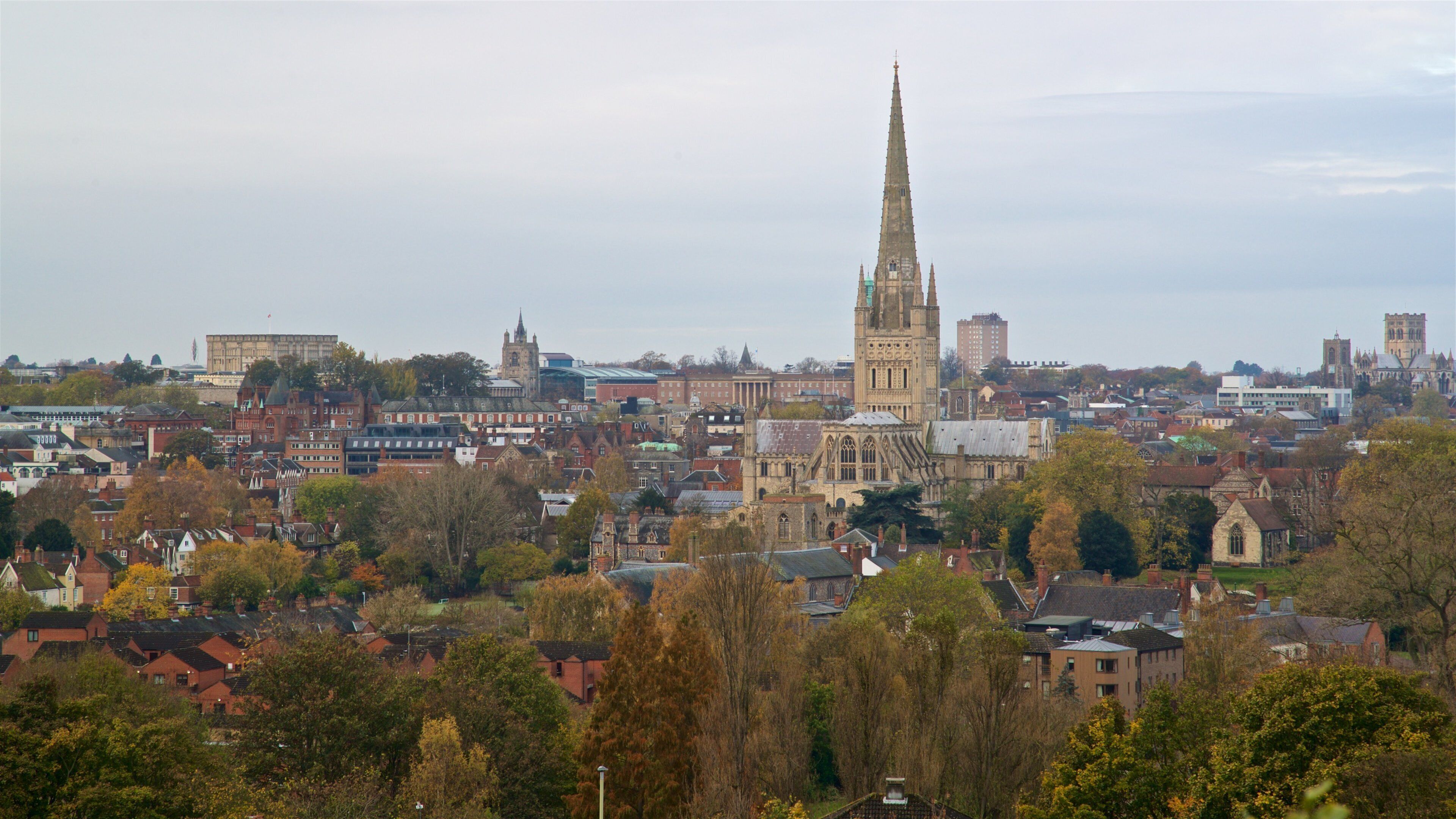 Mousehold Heath featuring landscape views and a city