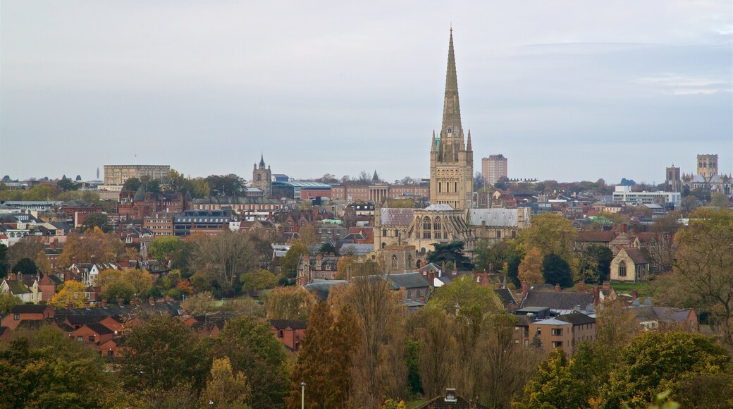 Mousehold Heath featuring landscape views and a city