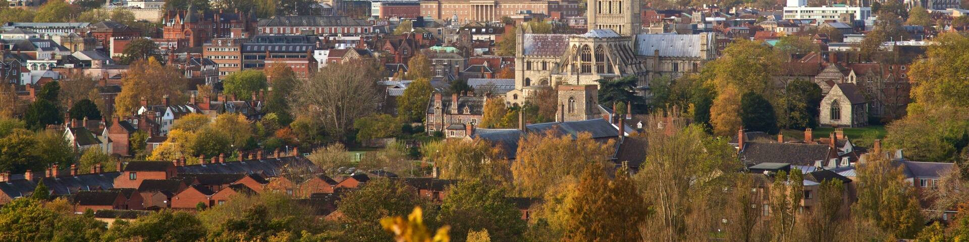 Mousehold Heath presenterar historiska element, landskap och en stad
