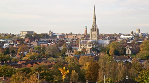 Mousehold Heath which includes landscape views, heritage elements and a city