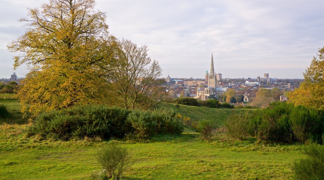 Mousehold Heath featuring rauhalliset maisemat ja kaupunki