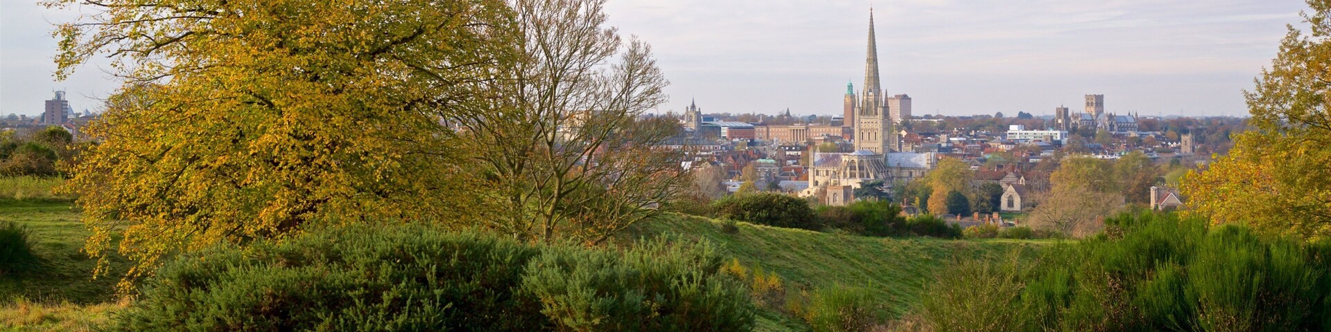 Mousehold Heath caracterizando uma cidade e cenas tranquilas