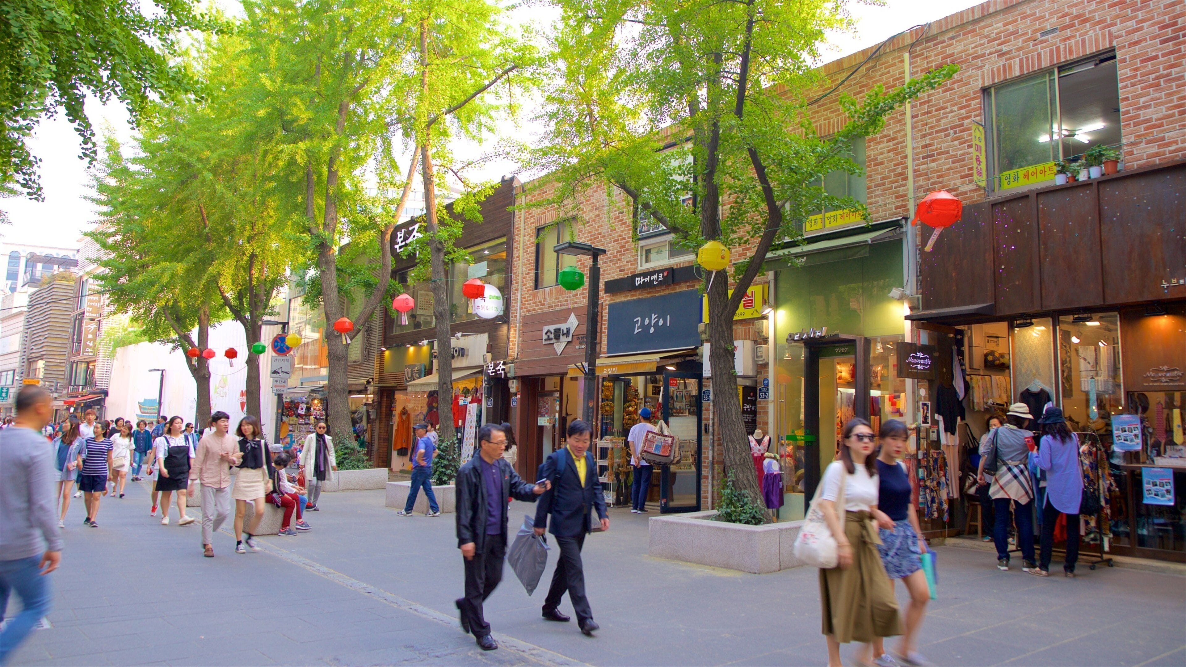 Insadong featuring shopping as well as a small group of people