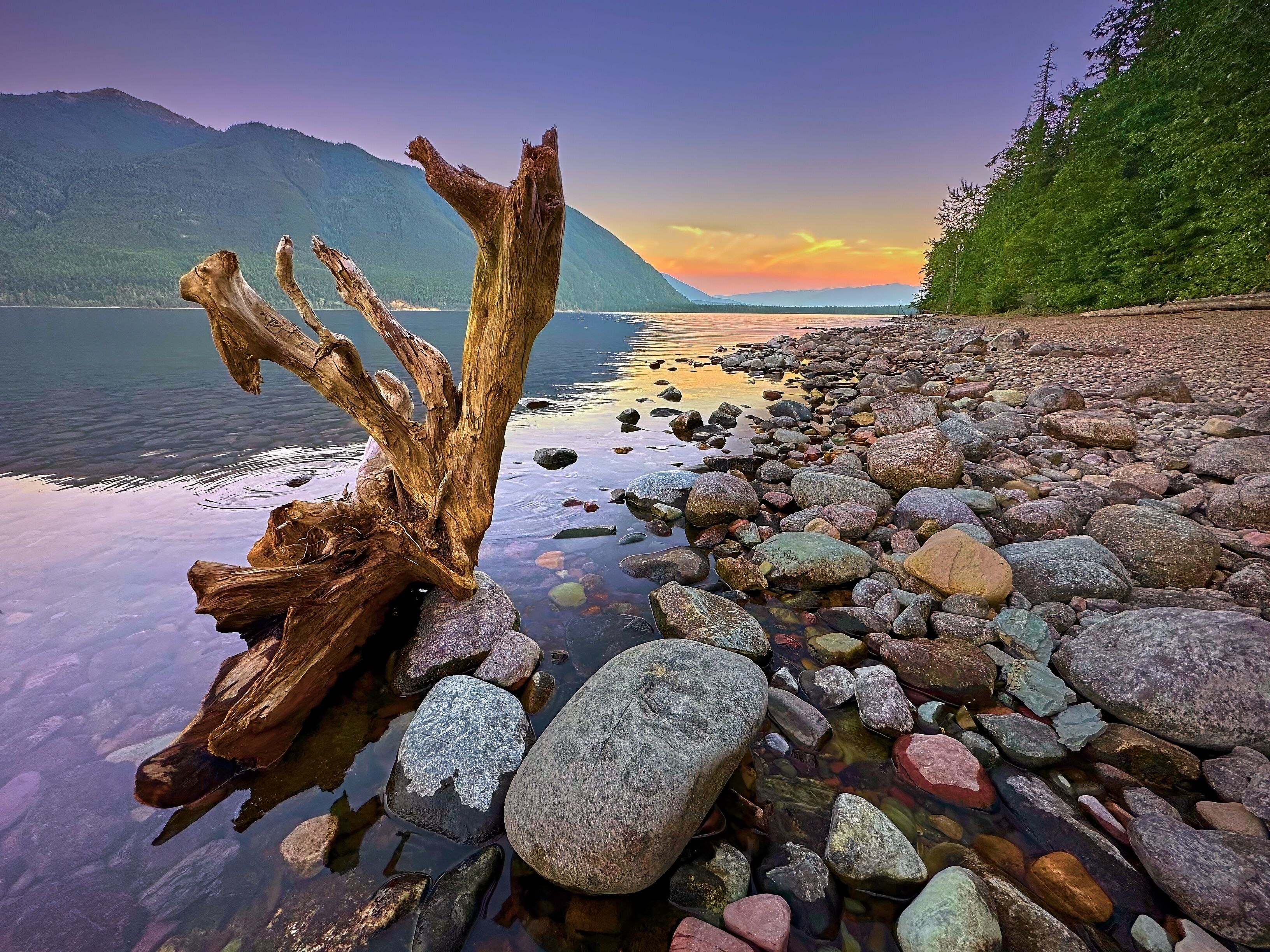 Lago McDonald