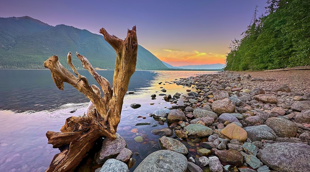 Lago McDonald