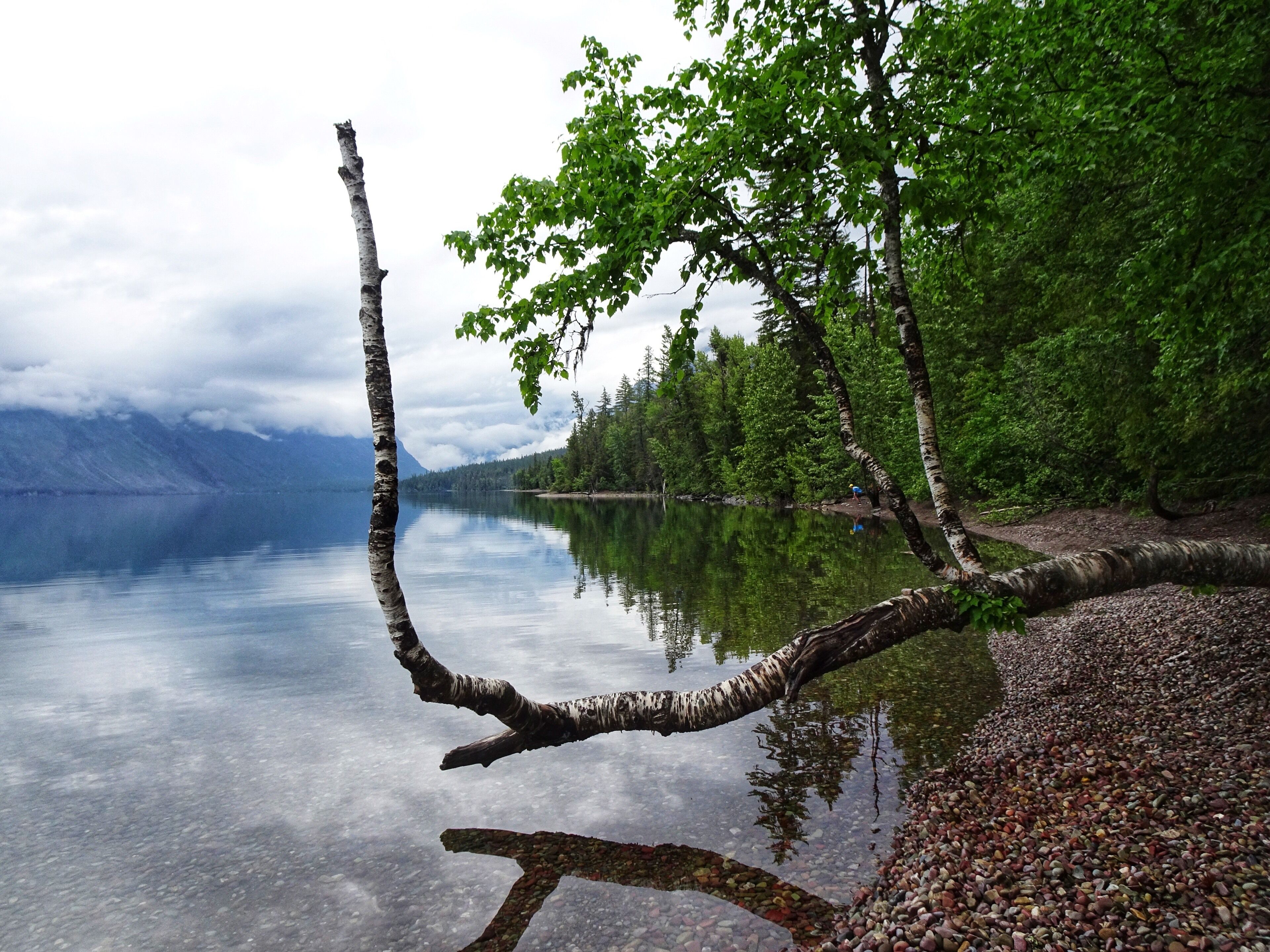 西冰河的麦当劳湖| Expedia