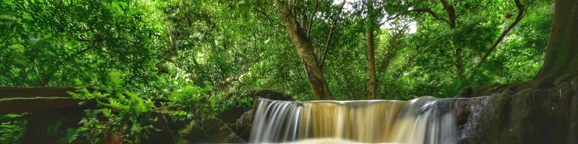 Than Bokkhorani national Park #LifeatExpedia