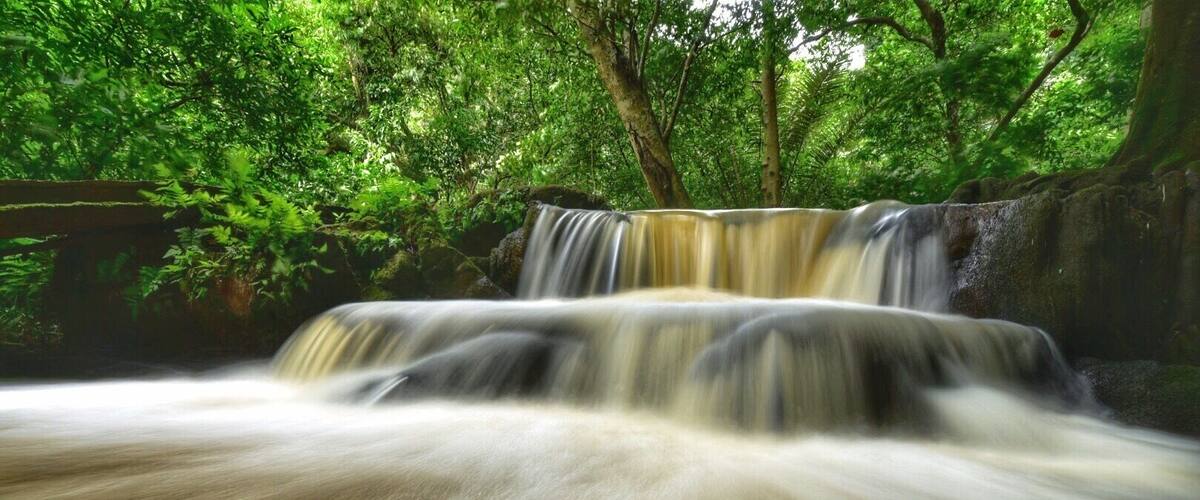A waterfall in a forested area.